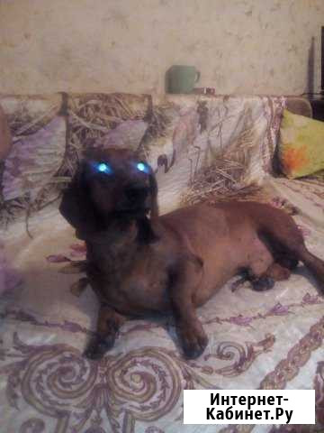 Мальчик ищет девочку Екатеринбург - изображение 1