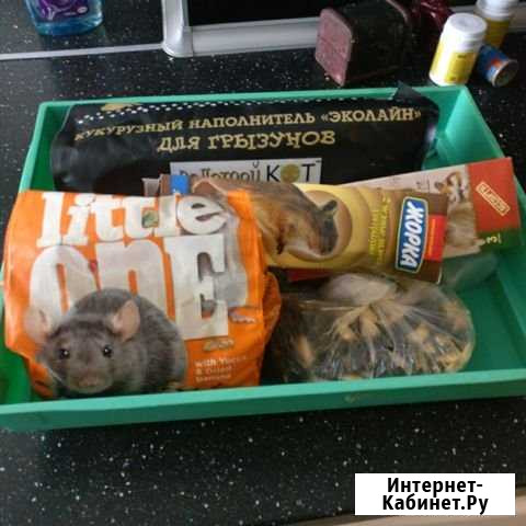 Клетка Всеволожск - изображение 1