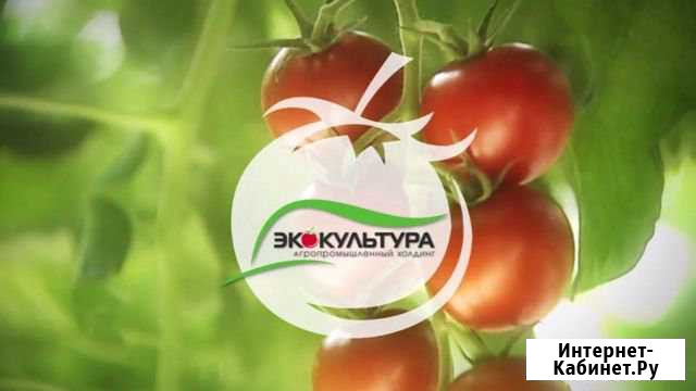 Упаковщик/ца, вахта 15/15 с проживанием Москва - изображение 1