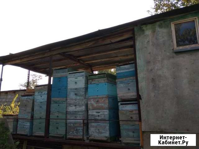 Пчеловодный прицеп Сенной - изображение 1