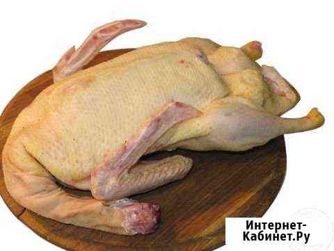 Тушки уток деревенские Воронеж