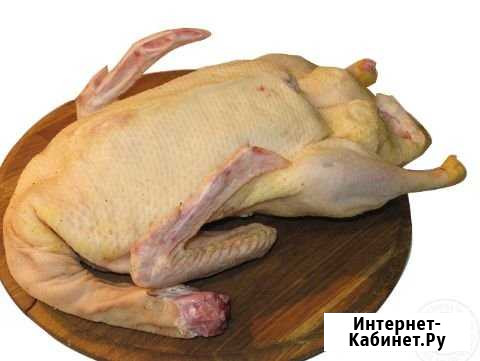 Тушки уток деревенские Воронеж - изображение 1