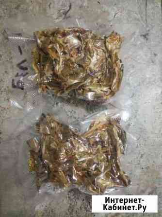 Былый гриб сушеный Кемерово