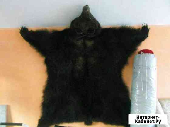 Шкура ковер Иркутск