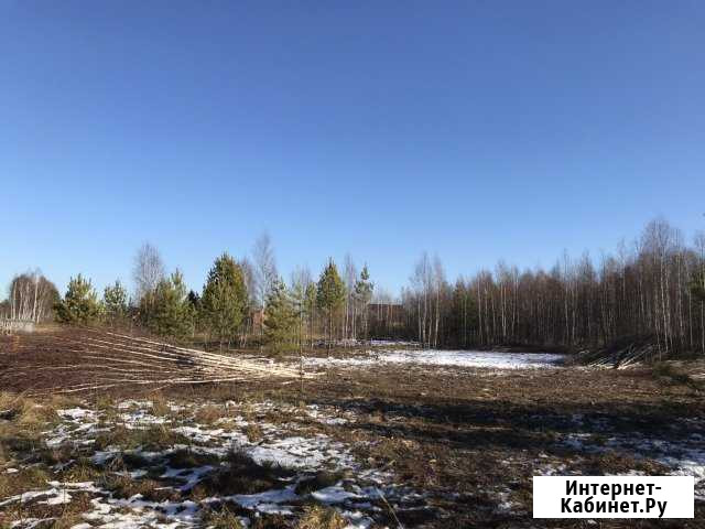 Участок 12 сот. (СНТ, ДНП) Томск - изображение 1