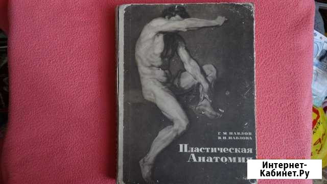 Пластическая анатомия Курск - изображение 1