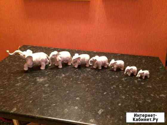 7 слоников Саратов