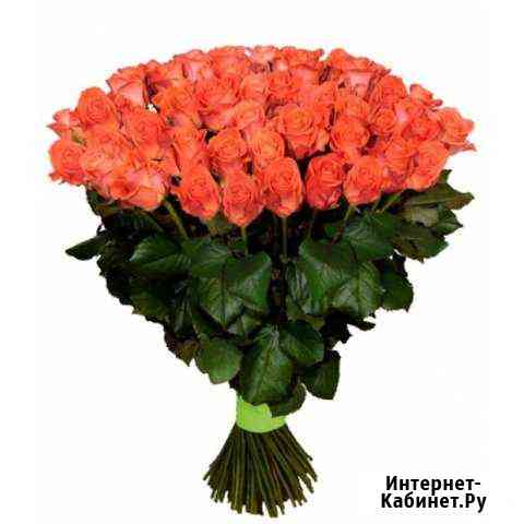 Розы.Сорт Вау. 101 шт.Круглосуточно.Доставка Краснодар