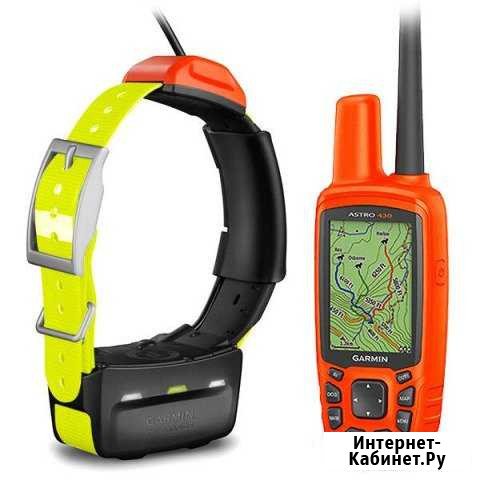 Garmin Astro 430 T5 c желтым ремешком Уфа - изображение 1