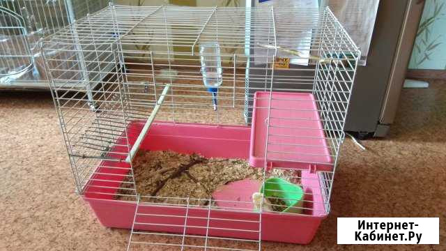 Клетка для грызунов Комсомольск-на-Амуре - изображение 1