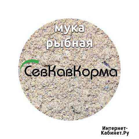 Рыбная мука Курсавка