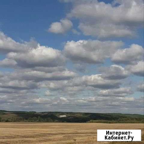 Продам 3х дойных коз Короча - изображение 1