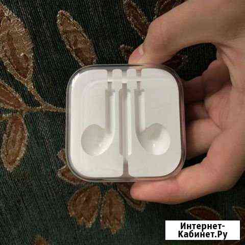 Коробочка под наушники AirPods Александров