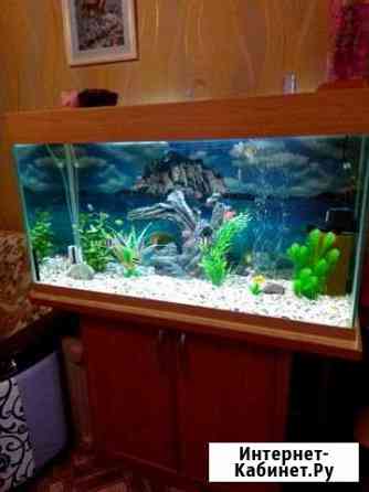 Аквариум с тумбой Барнаул