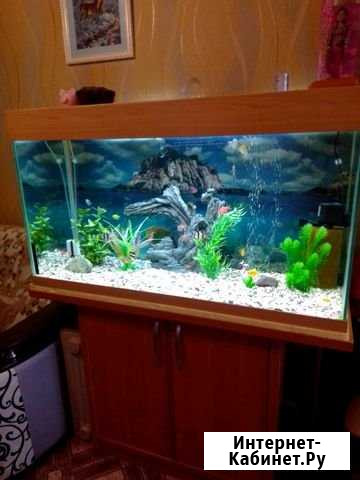 Аквариум с тумбой Барнаул - изображение 1