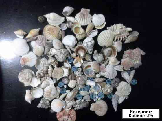Ракушки (украшение в аквариум) Тюмень