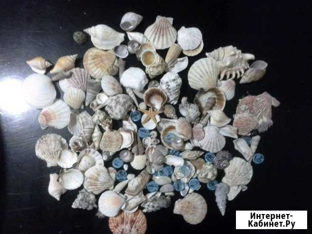 Ракушки (украшение в аквариум) Тюмень - изображение 1