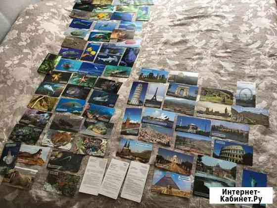 Карточки «Мир на ладошке» Умница. 3 серии. Море и Химки