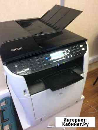 Мфу ricoh Белгород