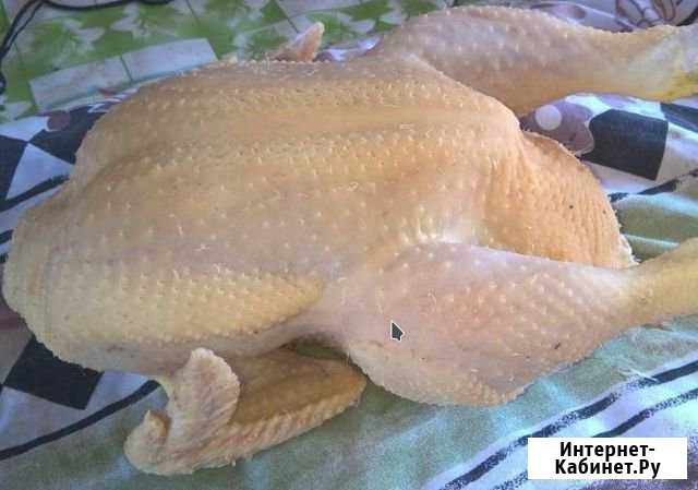 Домашнее мясо птицы - гуси, утки, куры и яйца Хотьково - изображение 1