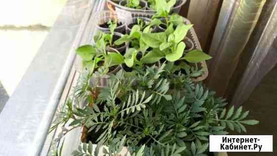 Участок 10 сот. (ИЖС) Челябинск