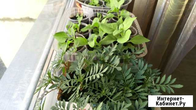 Участок 10 сот. (ИЖС) Челябинск - изображение 1