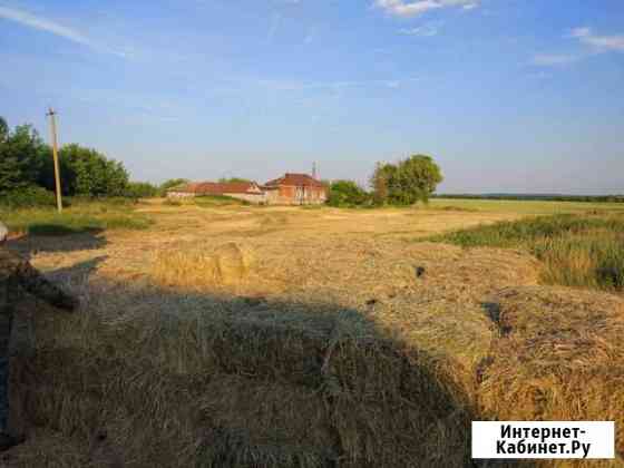 Сено в кирпичных тюках (вес 25-30-35кг.) Старотимошкино