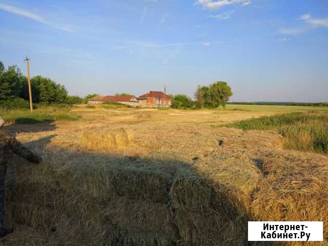 Сено в кирпичных тюках (вес 25-30-35кг.) Старотимошкино - изображение 1