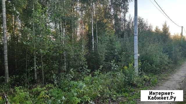 Участок 12 сот. (СНТ, ДНП) Сертолово - изображение 1