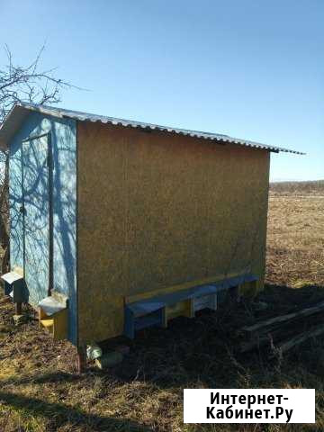 Продам павильон для пчелиных семей Калининград - изображение 1