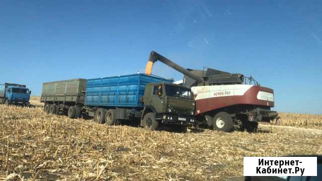 Закупаем Кукуруза Пшеница Баксан - изображение 1
