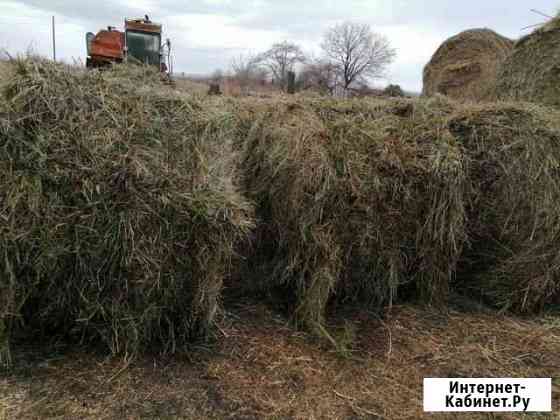 Продам сено Абакан