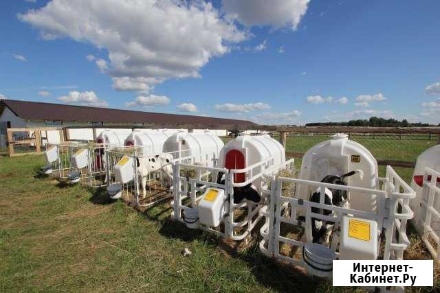 Продам фермерское хозяйство Рязань - изображение 1