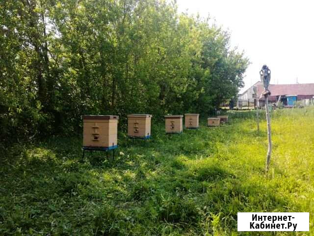 Улей Рыбная Слобода - изображение 1