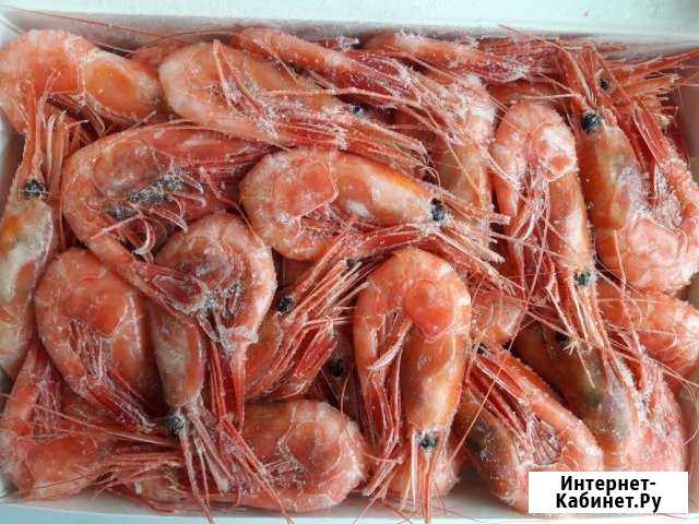 Креветки северные c о. Сахалин 1кг морепродукты Сергиев Посад - изображение 1