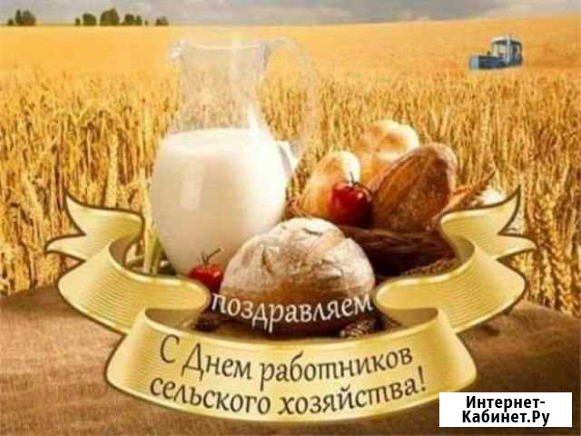 Кукуруза Прохладный - изображение 1