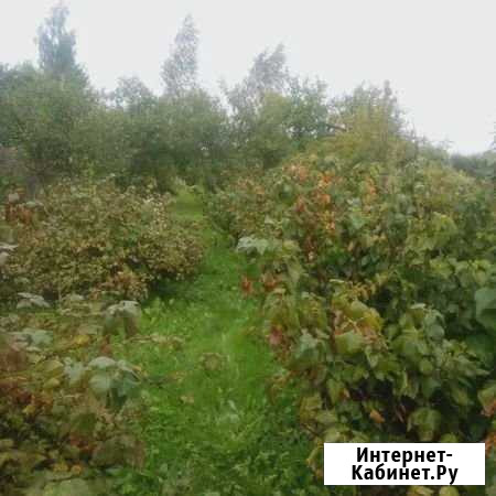 Участок 7.3 сот. (ИЖС) Кудиново - изображение 1