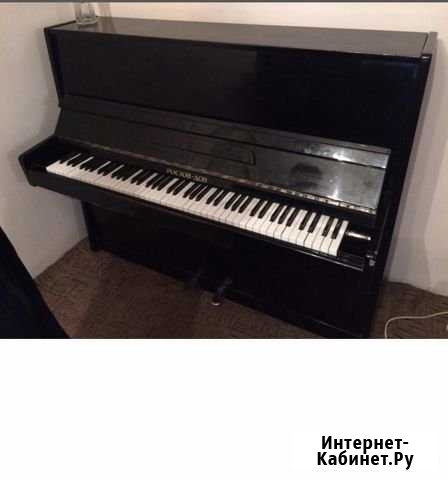 Пианино Ростов-Дон Каменск-Шахтинский - изображение 1