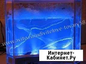 Муравьиная ферма Оренбург - изображение 1