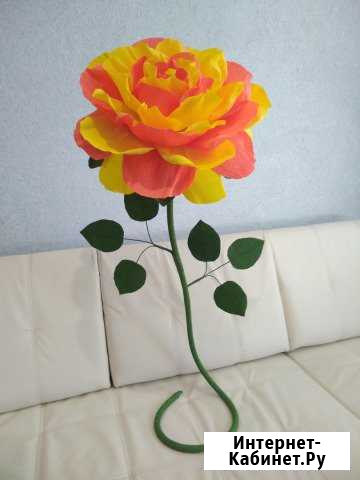 Устойчивые цветы Смоленск - изображение 1