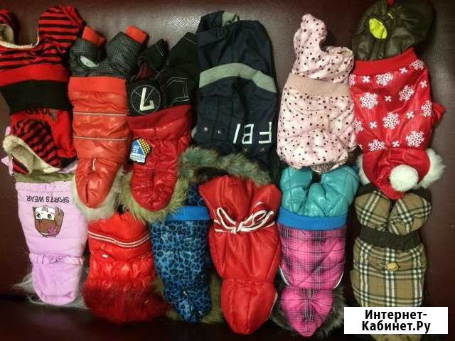 Одежда для собак Иркутск - изображение 1