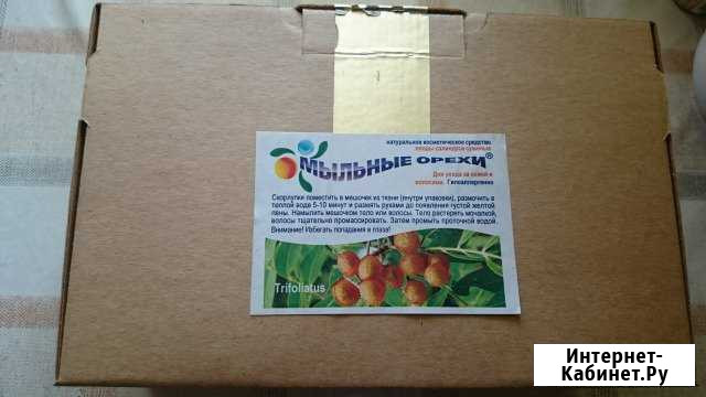 Мыльные орехи Trifoliatus Одинцово - изображение 1