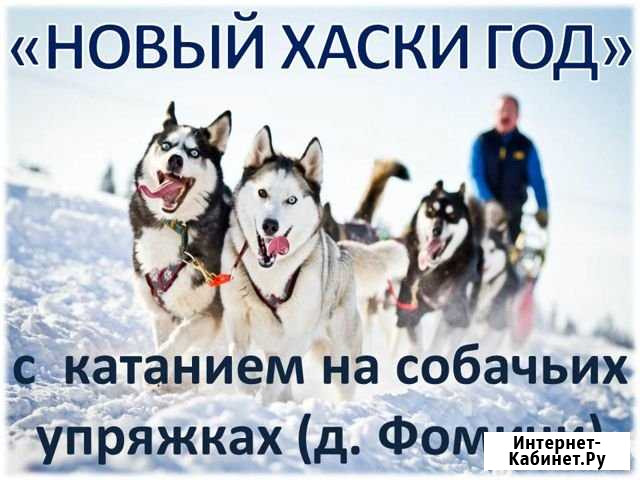 4.янв.20 Экскурсия.Новогодняя сказка с Хаски/цо070 Пермь - изображение 1