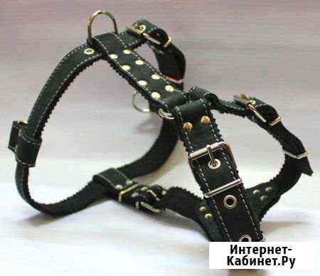 Шлейка для собак Ростов-на-Дону