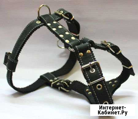 Шлейка для собак Ростов-на-Дону - изображение 1