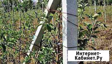 Столбы лэп железобетонные Орёл