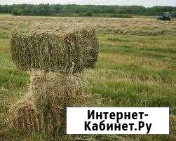 Сено в тюках Новороссийск - изображение 1