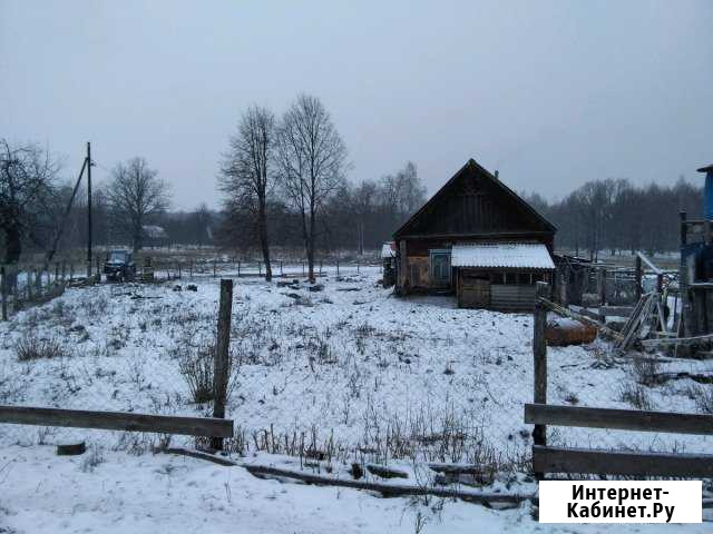 Дом 45 кв.м. на участке 45 сот. Выгоничи - изображение 1