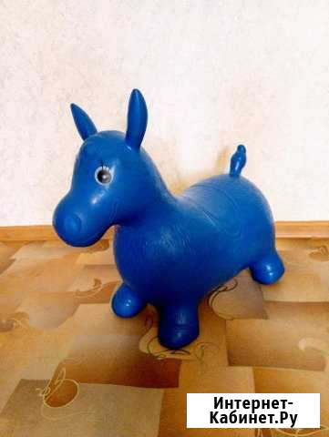 Попрыгун Тюмень - изображение 1