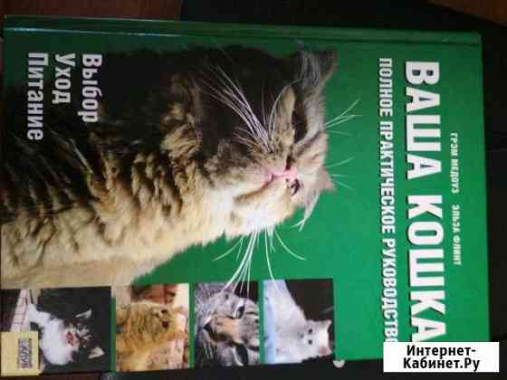 Ваша кошка Липецк